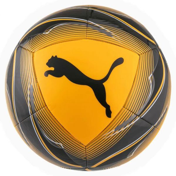 Puma Icon Foto 1