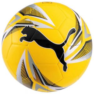 Balón de fútbol Puma Ftblplay big cat