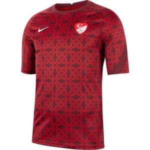 Equipación de fútbol Nike Turkey breathe 2020