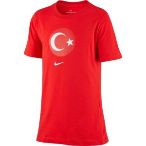 Equipación de fútbol Nike Turkey evergr en crest 2020