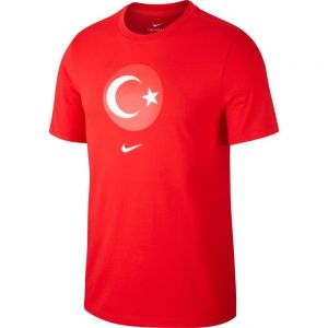 Equipación de fútbol Nike Turkey evergr en crest 2020