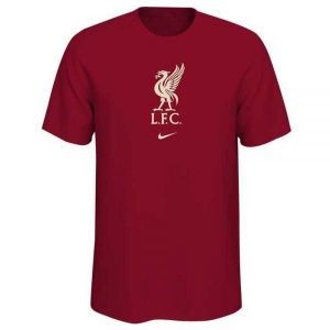 Equipación de fútbol Nike  Camiseta Liverpool FC 21/22 Junior